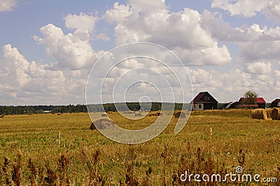 Picturesque view of the beautiful green grass field and hay sheafs under the blue cloudy sky and sunshine. Moscow suburbs, Russia. Stock Photo