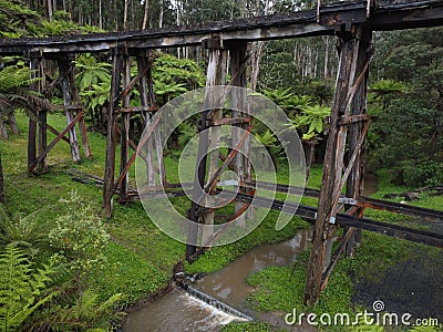 Picturesque view of Monbulk Creek Trestle Bridge in Belgrave, Australia Stock Photo