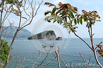 Picturesque view, rocky, overgrown with forest, an islet among morphs in Montenegro Stock Photo