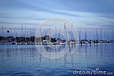 Picturesque view of sailboats in Downtown St. Pete, FL Stock Photo