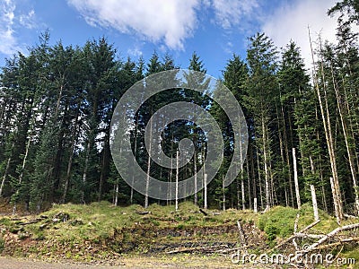 Picturesque view of the stunning Scottish countryside in the summertime Stock Photo