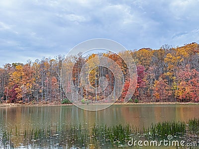 Picturesque view of a tranquil lake surrounded by tall, vibrant trees. Coopers Rock Reservoir Stock Photo