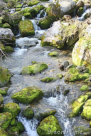 Picturesque waterfall and rocks covered with green moss. Tatra Mountains, Stock Photo