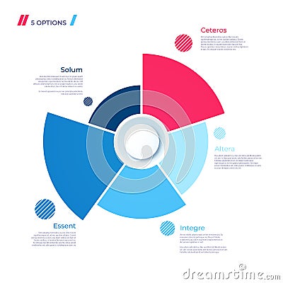 Pie chart concept with 5 parts. Vector template for web, present Vector Illustration