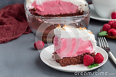 Piece of baked Alaska with chocolate sponge cake, raspberry ice cream and meringues, on a white plate, horizontal Stock Photo