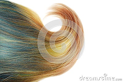 Piece of blond and blue umbra hair with fat curl isolated Stock Photo