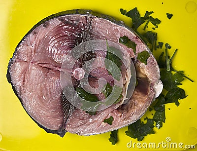 Piece of bonito fish in the Cantabrian Sea Stock Photo