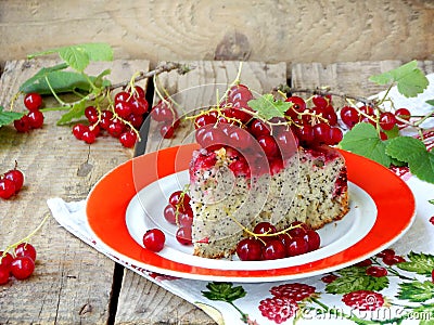 Piece of cake or sponge cake with red currants and poppy seeds Stock Photo