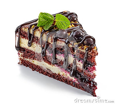 Piece of chocolate and blackcurrant cake Stock Photo