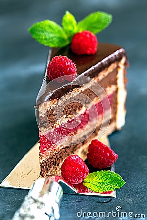 Piece of chocolate cake. Stock Photo