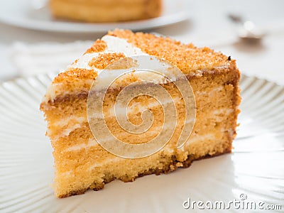 Piece of delicious cake. Delicate honey cake and sour cream. Dessert on a plate and white background Stock Photo