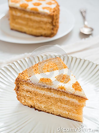 Piece of delicious cake. Delicate honey cake and sour cream. Dessert on a plate and white background Stock Photo