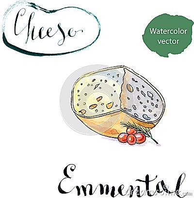 Piece of Emmental cheese head with cherry tomato and dill Vector Illustration