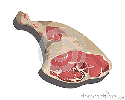 A piece of fresh meat. Meat product on a white background. Vector illustration of meal. Cartoon food. Vector Illustration