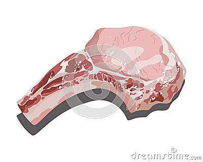 A piece of fresh meat. Meat product on a white background. Vector illustration of meal. Cartoon food. Vector Illustration