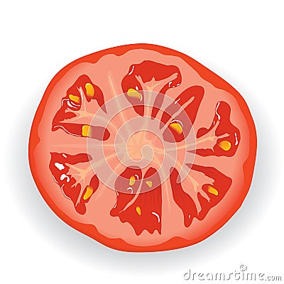 Piece of fresh tomato Vector Illustration