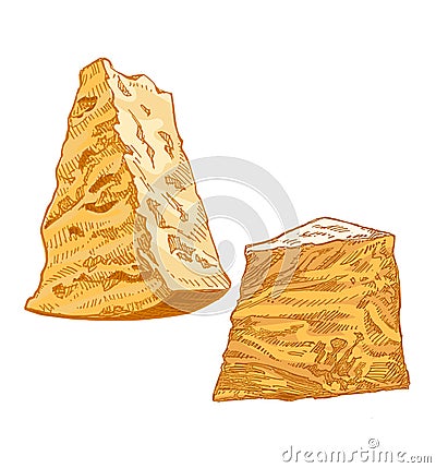 Piece of hard cheese, Parmesan, Edam, cut slice, french organic food, close-up, isolated, vintage style, hand drawn Vector Illustration