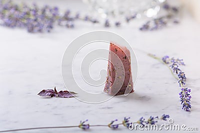 Piece of lavender cheese, lavender flowers and basil leaves on white marble table Stock Photo