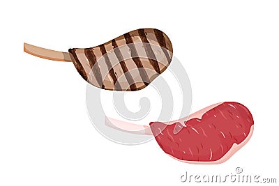 A piece of meat. Vector Illustration