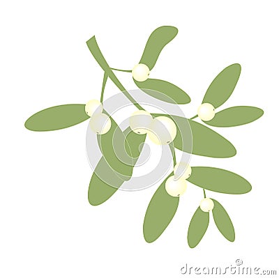Piece of mistletoe Vector Illustration