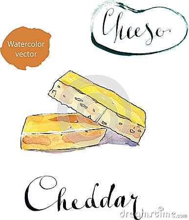 A piece of organic sharp cheddar cheese Vector Illustration