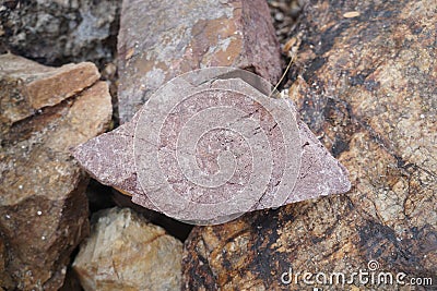 Piece of Pink Arkose Sandstone rock on nature background. Stock Photo