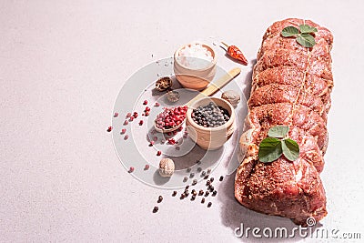 A piece of raw pork loin, marinated fresh meat tied with culinary twine with spices Stock Photo