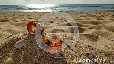 A piece of raw sparkling Baltic amber and seashells large and small on the sea Stock Photo