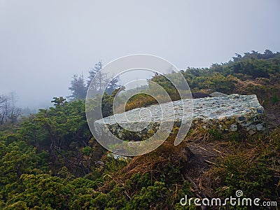 piece of rock of big dimensions as seen on a mountain hill through the coniferous bushes. Granite stone over the misty valley Stock Photo