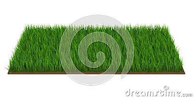 Piece of sward Stock Photo