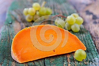 Piece of tasty mimolette cheese on white. Breakfast, chees. Stock Photo