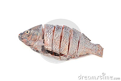 Piece of tilapia fish meat on white background Stock Photo