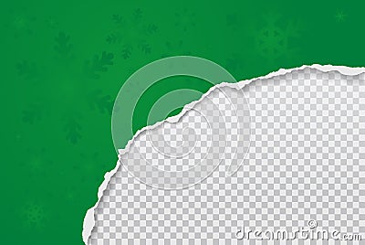 Piece of torn, ripped green paper with snowflakes pattern and soft shadow is on transparent background for text. Vector Vector Illustration