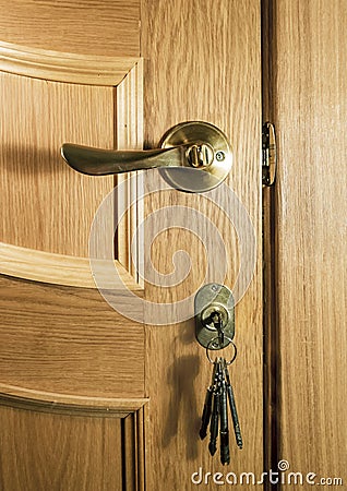 Piece of wood of an oak door with a handle and a bunch of keys Stock Photo