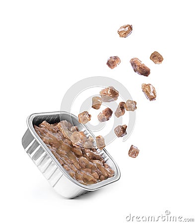 Pieces of canned wet food for dogs and cats fly out from the package Stock Photo