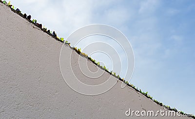 Pieces of glass put on a wall to avoid jumping Stock Photo