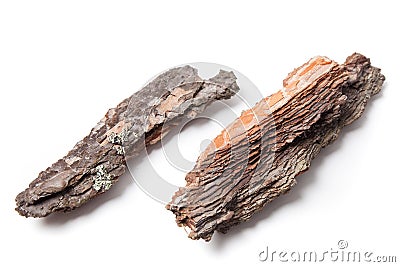 Pieces of Pine Bark Stock Photo