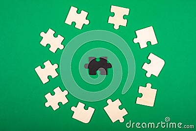 Pieces of the puzzle colors white and black, lie on a green background. outcast antisocial white crow leadership skills supervisor Stock Photo