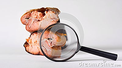 Pieces of red smoked salmon and magnifier on white. Research and expertise of the quality of fish. Analysis of the content Stock Photo