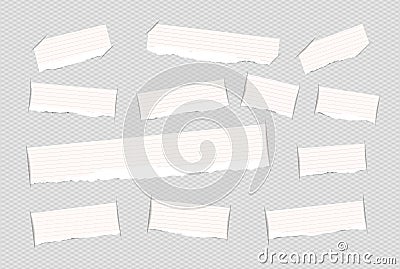 Pieces of torn white ruled note copybook, notebook strips inserted into squared cut paper Vector Illustration