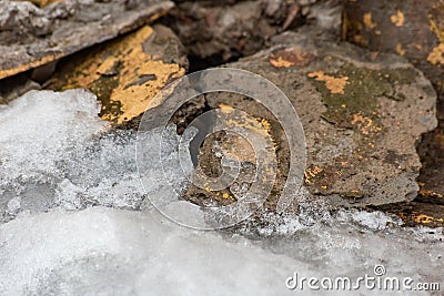 Pieces of wall with ice Stock Photo