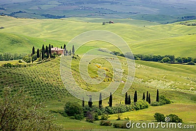 Farmland near Pienza in Tuscany on May 20, 2013 Stock Photo