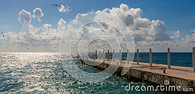 Pier and a flock of birds Stock Photo