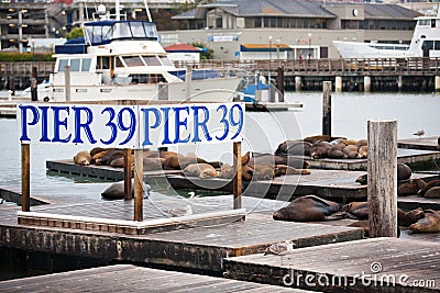 Pier 39 in San Francisco Editorial Stock Photo