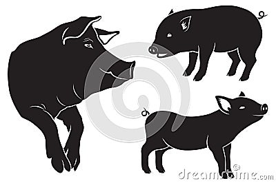 Pig Vector Illustration