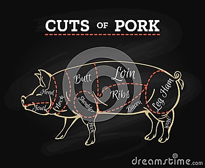 Pig butcher chalkboard scheme Vector Illustration