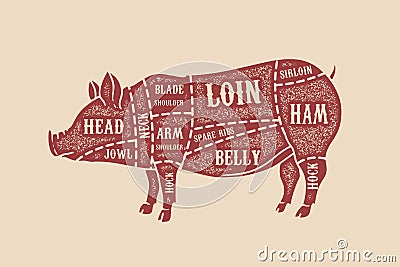 Pig butcher diagram. Pork cuts. Design element for poster, card, emblem, badge. Vector Illustration