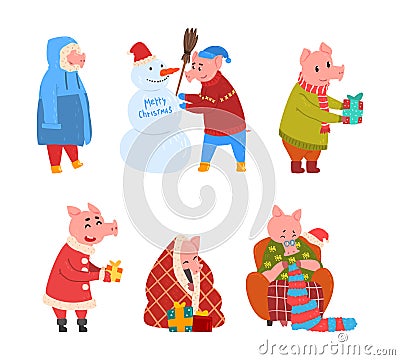 Pig Christmas Character Wearing Sweater and Scarf Knitting in Armchair, Giving Gift and Building Snowman Vector Set Vector Illustration