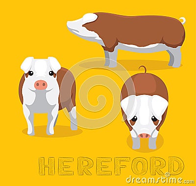 Pig Hereford Cartoon Vector Illustration Vector Illustration