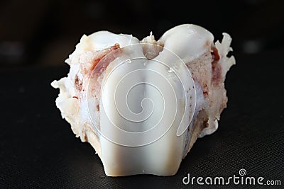 Pig leg bone show the cartilage joint. Stock Photo